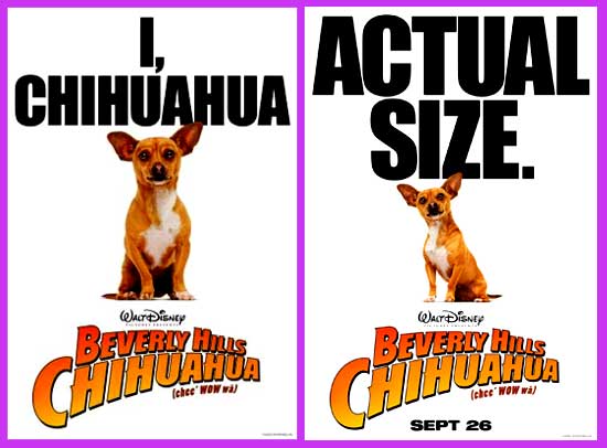 Beverly Hills Chihuahua