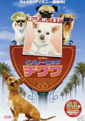 Beverly Hills Chihuahua