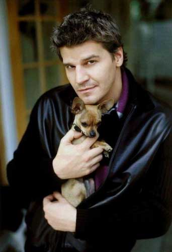 David Boreanaz