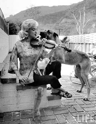 Jayne Mansfield