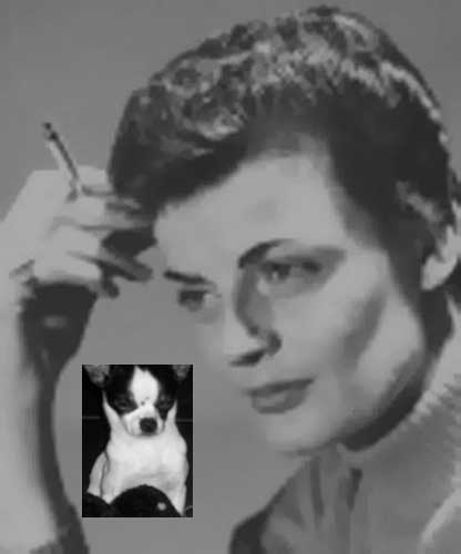 Joyce Vandeverre