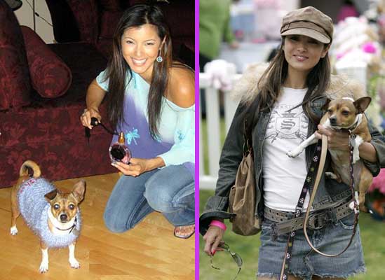 Kelly Hu