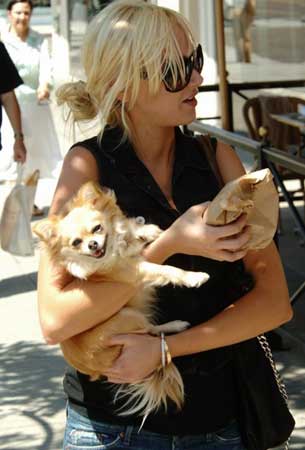 Kimberly Stewart