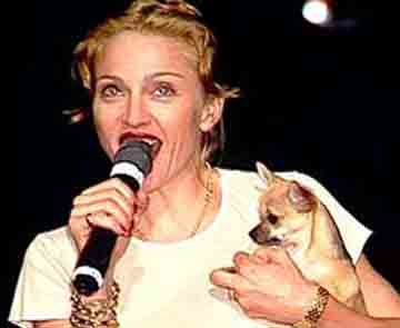 Madonna