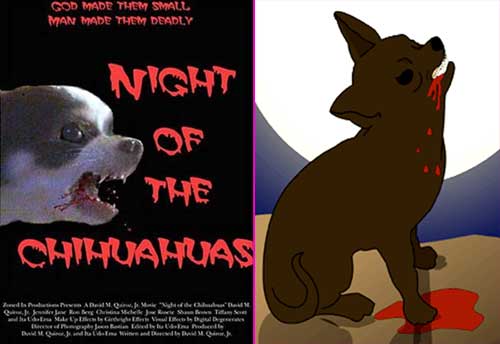 Night of the Chihuahuas