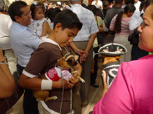 Oaxaca