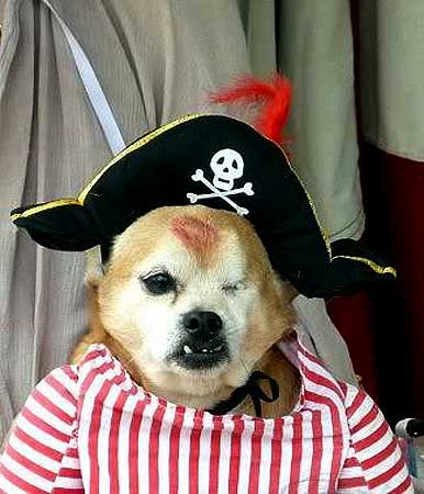 Pirate