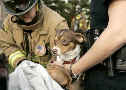 San Diego Fire