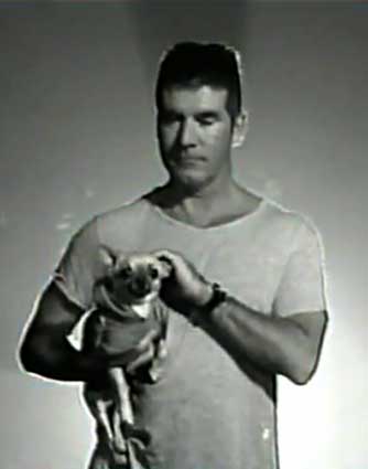 Simon Cowell