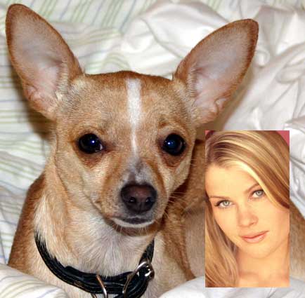Alison Sweeney and Paco
