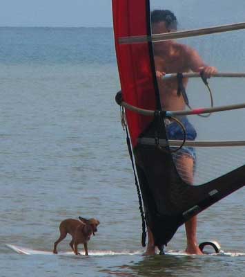 Windsurfing