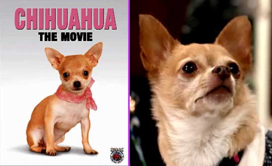 Chihuahua: The Movie