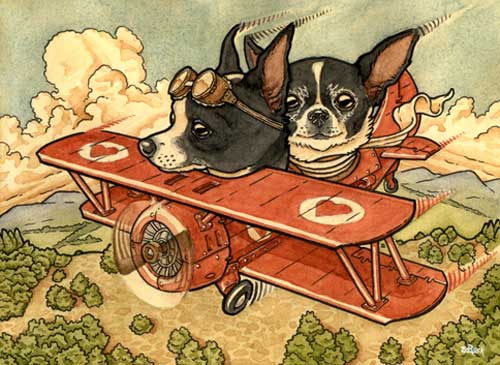 Flying Chihuahuas