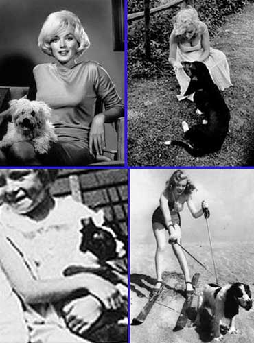 Marilyn and her dogs