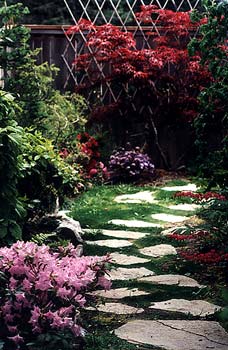 Little Garden Path