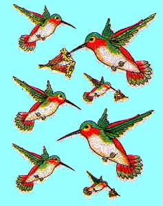 Hummingbirds