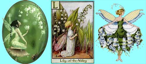 Lily of the Valley fairies