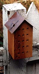 Bee Hotel