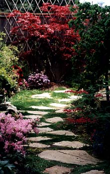 Garden Path