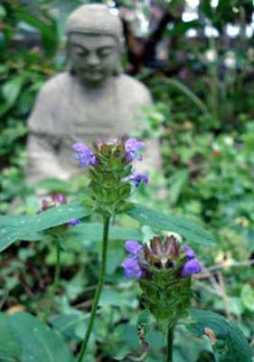 Selfheal